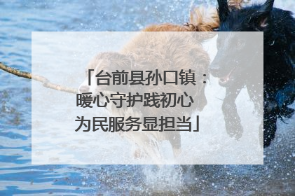 台前县孙口镇：暖心守护践初心 为民服务显担当