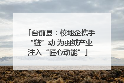 台前县：校地企携手“链”动 为羽绒产业注入“匠心动能”