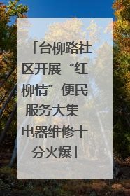 台柳路社区开展“红柳情”便民服务大集 电器维修十分火爆