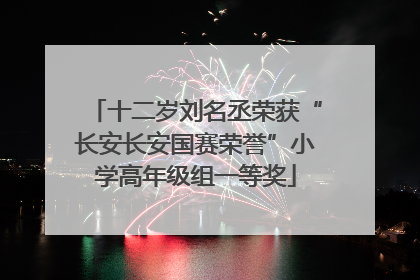 十二岁刘名丞荣获“长安长安国赛荣誉”小学高年级组一等奖