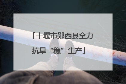 十堰市郧西县全力抗旱“稳”生产