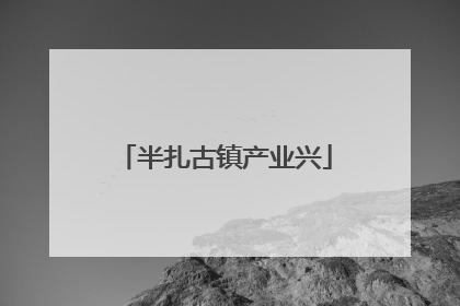 半扎古镇产业兴