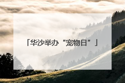 华沙举办“宠物日”