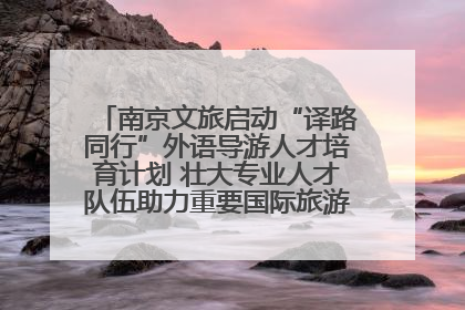 南京文旅启动“译路同行”外语导游人才培育计划 壮大专业人才队伍助力重要国际旅游目的地建设
