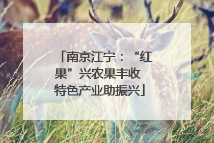 南京江宁：“红果”兴农果丰收 特色产业助振兴