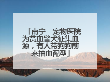 南宁一宠物医院为贫血警犬征集血源，有人带狗狗前来抽血配型