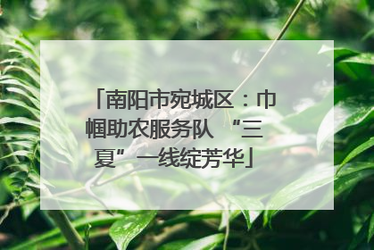 南阳市宛城区：巾帼助农服务队 “三夏”一线绽芳华