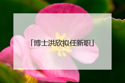 博士洪欣拟任新职