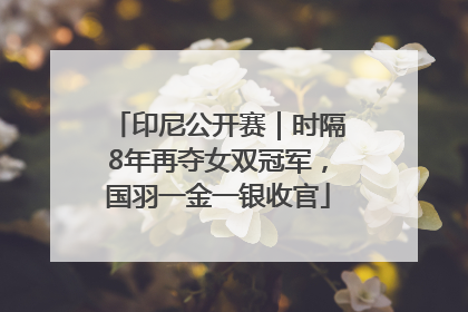 印尼公开赛｜时隔8年再夺女双冠军，国羽一金一银收官