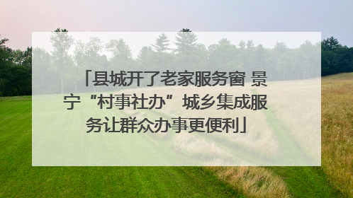 县城开了老家服务窗 景宁“村事社办”城乡集成服务让群众办事更便利