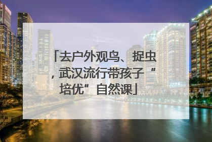 去户外观鸟、捉虫，武汉流行带孩子“培优”自然课