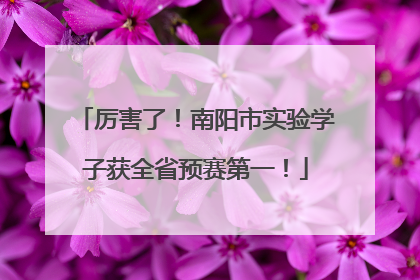 厉害了！南阳市实验学子获全省预赛第一！