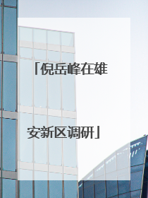 倪岳峰在雄安新区调研