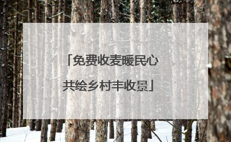 免费收麦暖民心 共绘乡村丰收景
