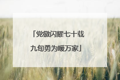 党徽闪耀七十载 九旬勇为暖万家