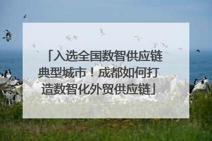 入选全国数智供应链典型城市！成都如何打造数智化外贸供应链