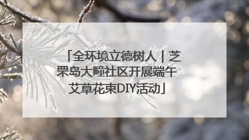 全环境立德树人｜芝罘岛大疃社区开展端午艾草花束DIY活动