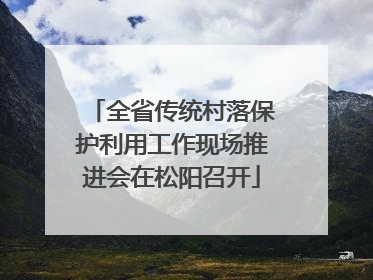全省传统村落保护利用工作现场推进会在松阳召开