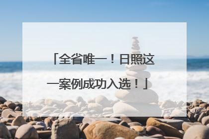 全省唯一！日照这一案例成功入选！