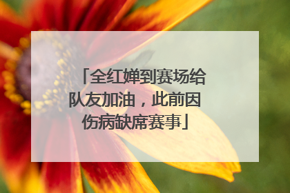 全红婵到赛场给队友加油，此前因伤病缺席赛事