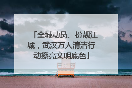 全城动员、扮靓江城，武汉万人清洁行动擦亮文明底色