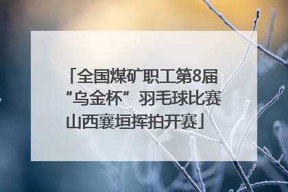 全国煤矿职工第8届“乌金杯”羽毛球比赛山西襄垣挥拍开赛