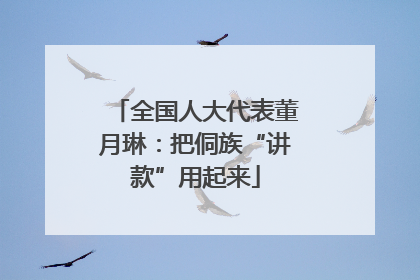全国人大代表董月琳：把侗族“讲款”用起来
