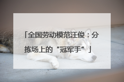 全国劳动模范汪俊：分拣场上的“冠军手”