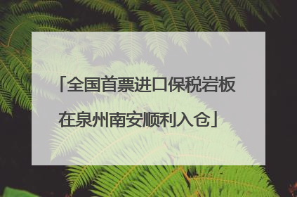 全国首票进口保税岩板在泉州南安顺利入仓