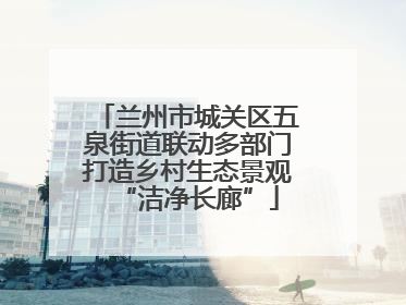 兰州市城关区五泉街道联动多部门打造乡村生态景观“洁净长廊”