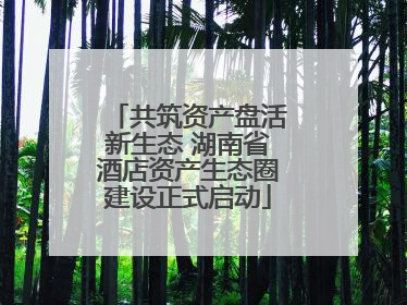 共筑资产盘活新生态 湖南省酒店资产生态圈建设正式启动