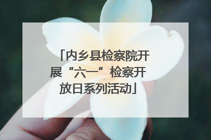 内乡县检察院开展“六一”检察开放日系列活动