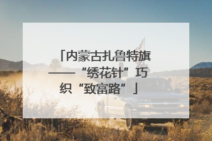 内蒙古扎鲁特旗——“绣花针”巧织“致富路”