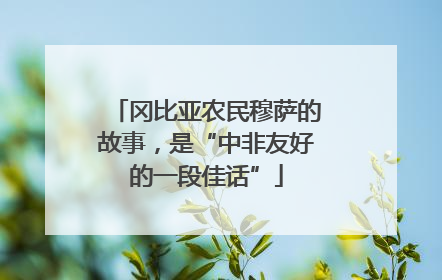 冈比亚农民穆萨的故事，是“中非友好的一段佳话”