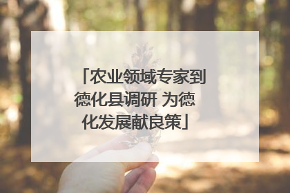 农业领域专家到德化县调研 为德化发展献良策