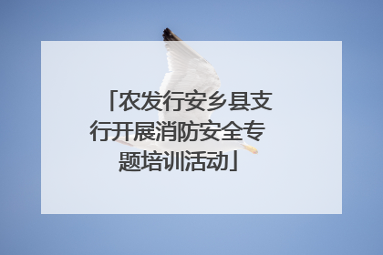 农发行安乡县支行开展消防安全专题培训活动