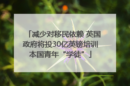 减少对移民依赖 英国政府将投30亿英镑培训本国青年“学徒”