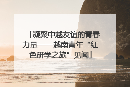 凝聚中越友谊的青春力量——越南青年“红色研学之旅”见闻