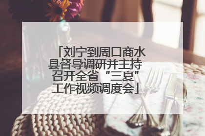 刘宁到周口商水县督导调研并主持召开全省“三夏”工作视频调度会