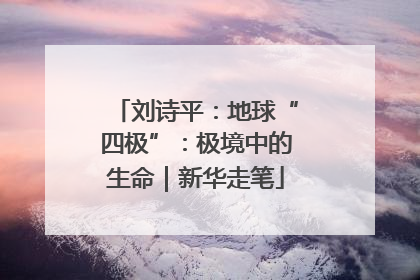 刘诗平：地球“四极”：极境中的生命｜新华走笔
