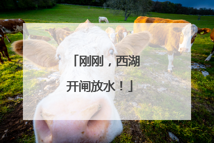 刚刚，西湖开闸放水！