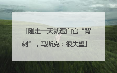 刚走一天就遭白宫“背刺”，马斯克：很失望