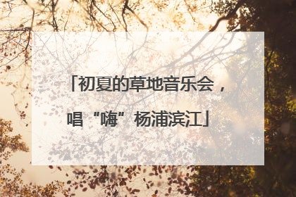 初夏的草地音乐会，唱“嗨”杨浦滨江