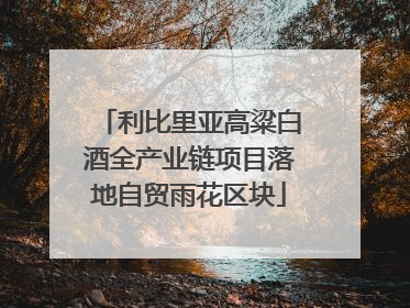利比里亚高粱白酒全产业链项目落地自贸雨花区块