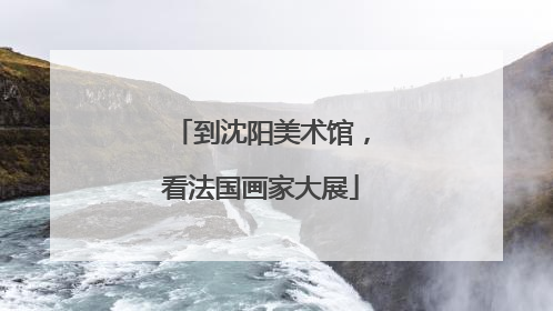 到沈阳美术馆，看法国画家大展