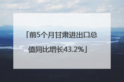前5个月甘肃进出口总值同比增长43.2%