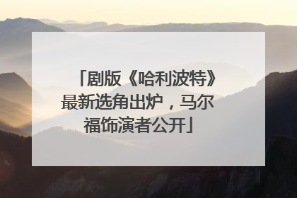 剧版《哈利波特》最新选角出炉，马尔福饰演者公开