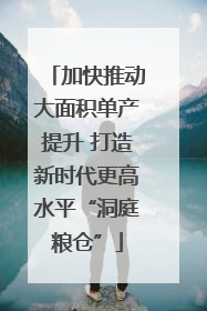 加快推动大面积单产提升 打造新时代更高水平“洞庭粮仓”