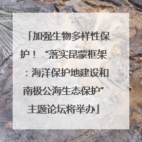 加强生物多样性保护！“落实昆蒙框架：海洋保护地建设和南极公海生态保护”主题论坛将举办