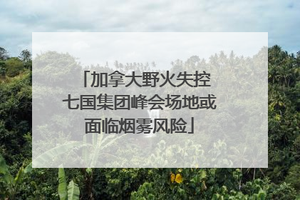 加拿大野火失控 七国集团峰会场地或面临烟雾风险